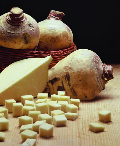 #NivoSlideCaption-468 FOOD