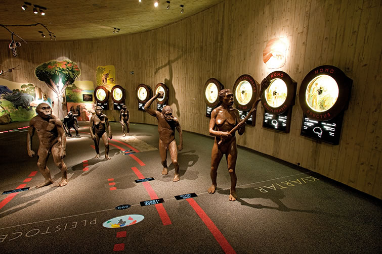 KRAPINA NEANDERTAL MUSEUM