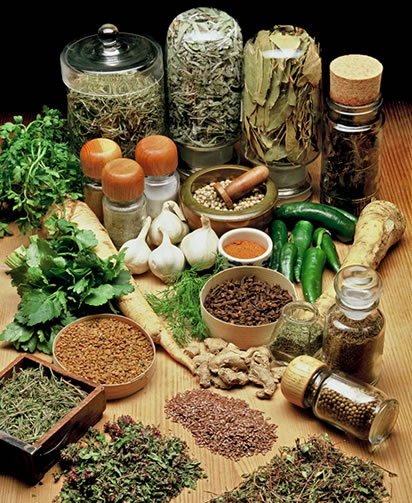 #NivoSlideCaption-474 FOOD