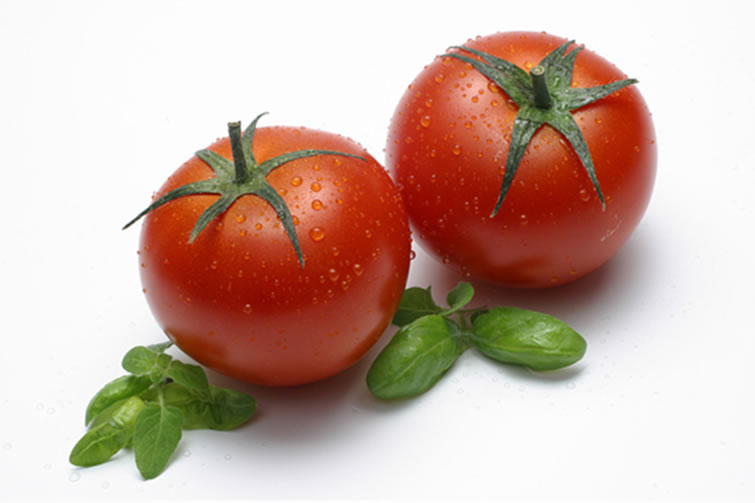 #NivoSlideCaption-477 FOOD
