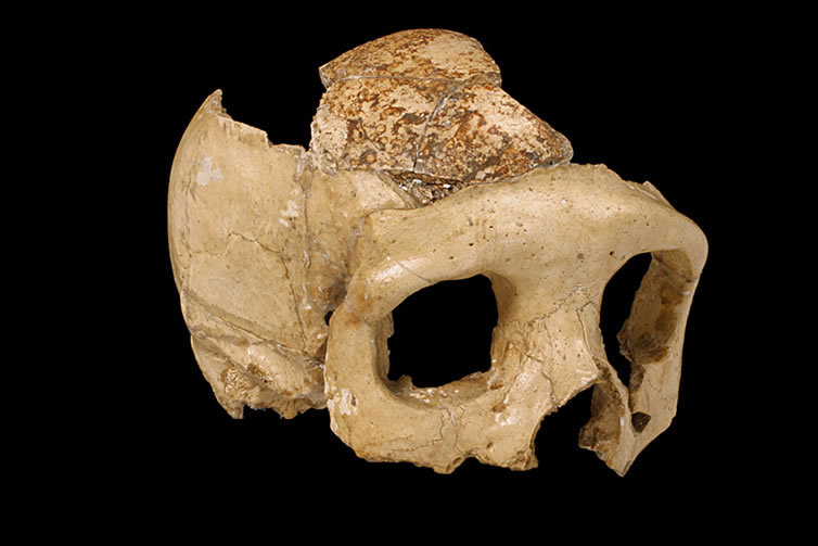 KRAPINA NEANDERTAL MUSEUM