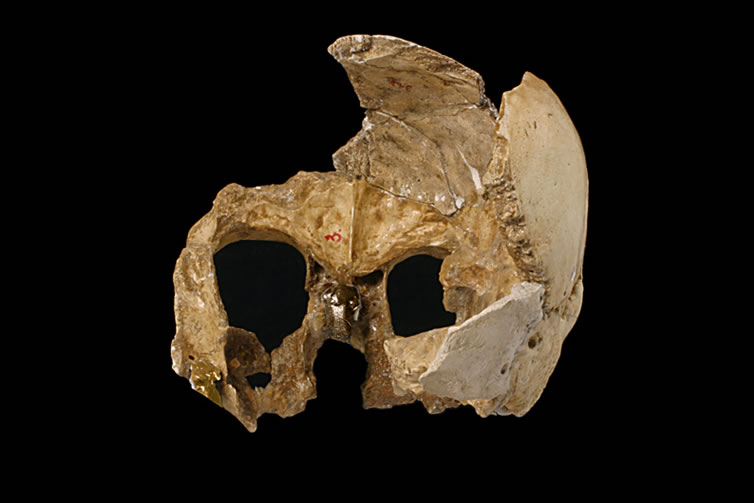 KRAPINA NEANDERTAL MUSEUM