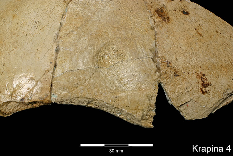 KRAPINA NEANDERTAL MUSEUM
