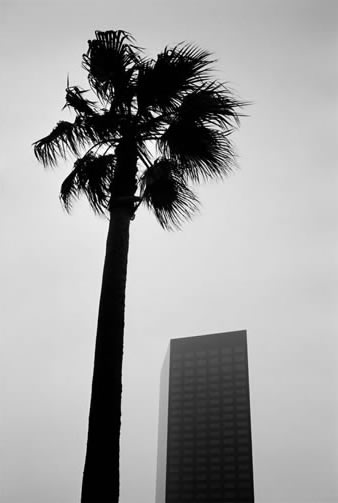 Crystal Sky